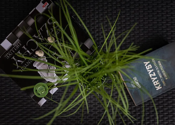 公寓 Blue Sky Perla C1 Invest *